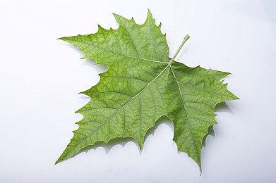 索尼可能在组建新的工作室 吸纳前Deviation Games主创